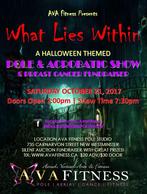 ​"What Lies Within"  Pole & Acrobatic Show