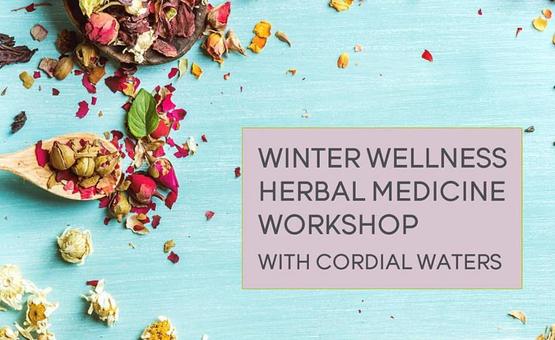 Winter Wellness and Herbal Medicine Making