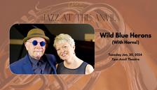Jazz at the Anvil: Wild Blue Herons