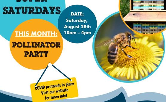 Super Saturday: Pollinator Party!
