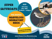 Super Saturdays at the Fraser River Discovery Centre!
